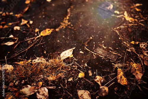 Konstfotografi Beautiful Nature Autumn landscape
