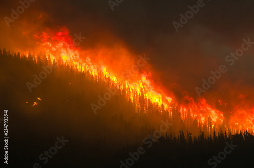 Massive wildfire raging on a forested hillside
