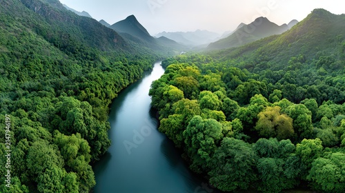 Serene Aerial View of Lush Green Forest and River Flowing Through Majestic Mountain Landscape at Dawn