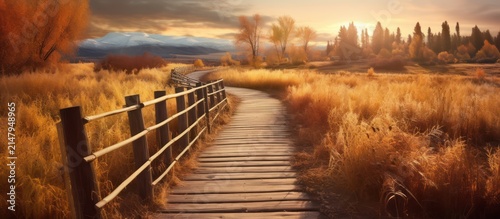 Scenic Wooden Boardwalk Through Golden Autumn Field
