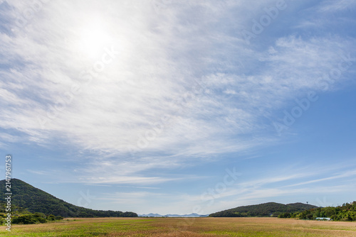 Expansive Blue Sky Above Summer Reed Field and Coastal Grassland