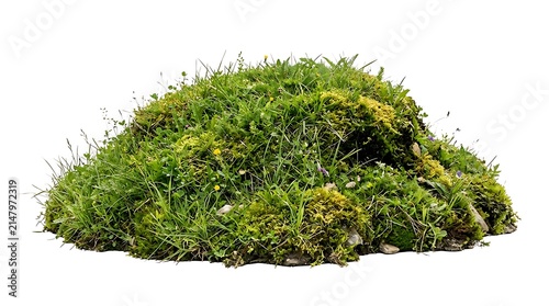 A small mound of green grass and moss isolated on white background.
