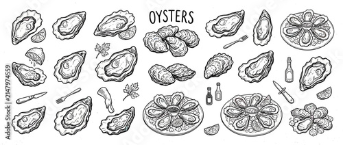 Foto Hand-drawn Oysters Collection Isolated on Transparent Background