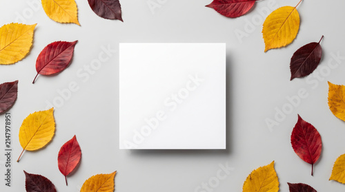 Autumn border leaf background rustic frame copy space template card. Vintage fall foliage frame. orange brown empty copy space, invitation banner