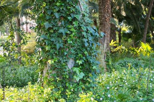 A tree with ivy twining around its trunk in a forest filled with blue and violet flowers and palm trees.