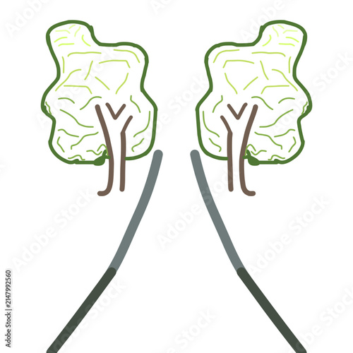 Foto crossroad on trees vektor illustration