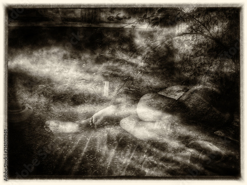 Cuadro en lienzo Forgotten souls linger beneath abandoned silence beyond fractured memories forever unseen