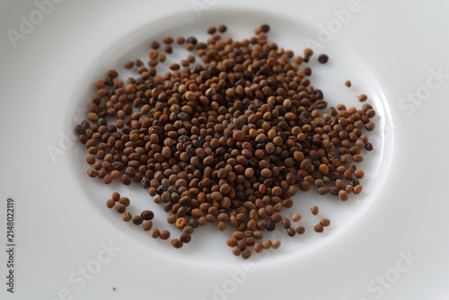 Obraz na plátne cuscuta chinensis - Chinese dodder - tusizi