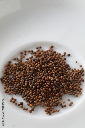 Konstfotografi cuscuta chinensis - Chinese dodder - tusizi