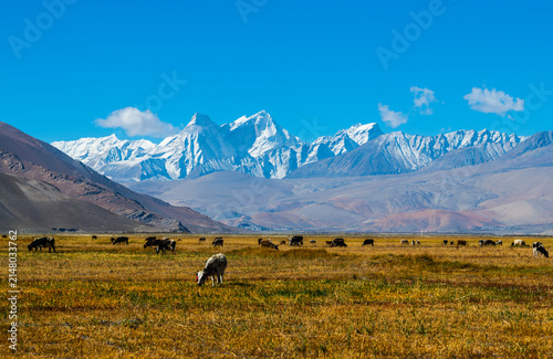 Fotografie Ama Drime Peak in the Himalayas, Tibet Autonomous Region, China