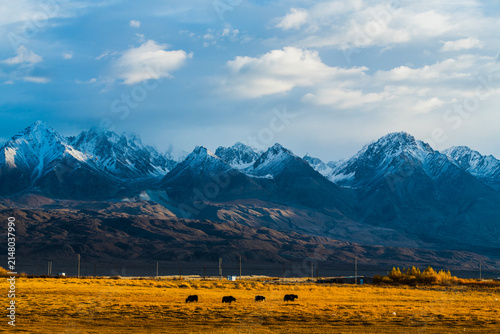 Принти на полотні A collection of landscapes from the Pamir Plateau in Xinjiang, China, featuring