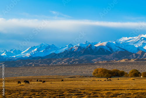 Fotografie A collection of landscapes from the Pamir Plateau in Xinjiang, China, featuring