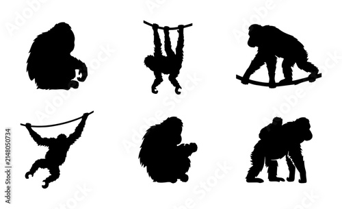 Primate Silhouettes: Gorillas, Orangutans, Chimpanzees, Vector Icons, Wildlife Collection
