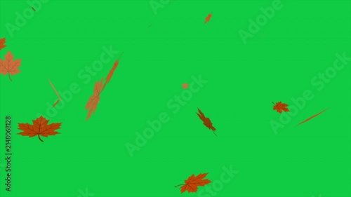 Loopable Falling Autumn Leaves Background on Green Screen Chroma Key