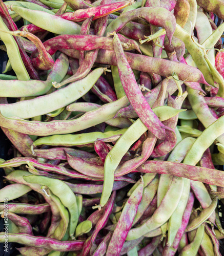 Принти на полотні Close up view of raw colorful Borlotti beans in pods showing natural texture and