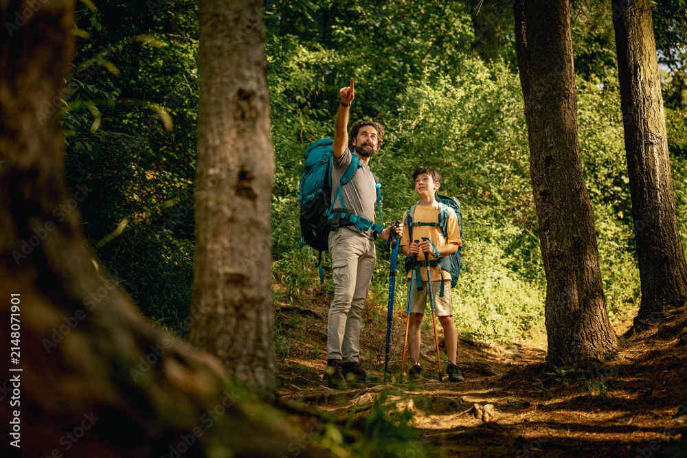 Fototapeta premium Two hikers explore a forest trail while pointing towards the distance during a sunny day in nature