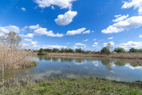Manzolino and Tivoli Oasis Nature Reserve, Province of Modena