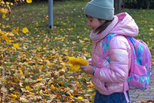 Girl walks in an autumn park and holds yellow leaves in her hands while looking down