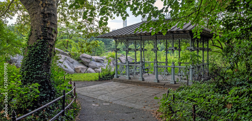 Central Park summer in summer