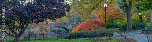 Autumn in Central Park