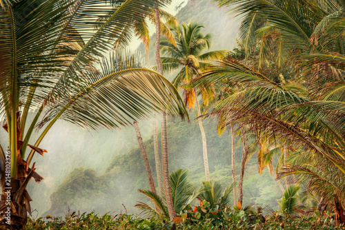 Photography Landscape on the island of Dominica