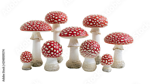 Konstfotografi Group of red and white spotted fly agaric mushrooms, isolated on transparent bac
