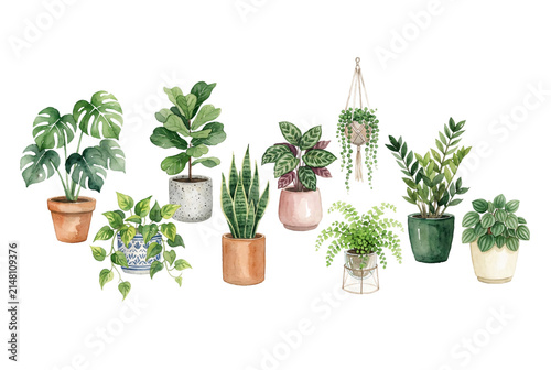 Set of watercolor potted house plants including monstera, snake plant, ZZ plant, pothos, and string of pearls in ceramic pots for home decor and garden art.