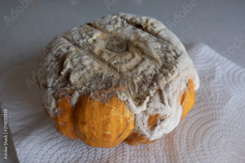 Картината върху платно Pumpkin covered in white mold, showing food spoilage and natural decomposition p