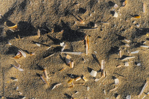 Foto Beach Sand Texture with Seashell Fragments and Shadows