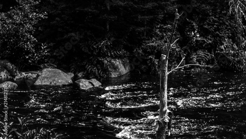 Beautiful landscape in black and white