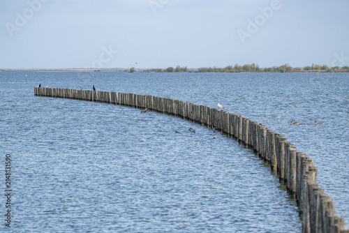The Marker Wadden nature reserve in Lake Marker in the Netherlands, Flevo province. Artificial archipelago.