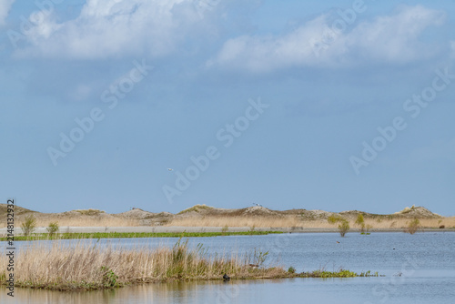 The Marker Wadden nature reserve in Lake Marker in the Netherlands, Flevo province. Artificial archipelago