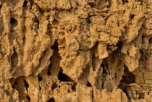 Cuadro en lienzo Close up full frame background photo of highly textured porous coral reef rock and limestone cliff surface