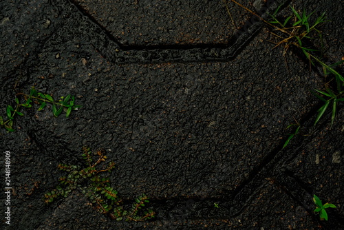 Background image of paving bricks on a walkway with some weeds growing after the rain.