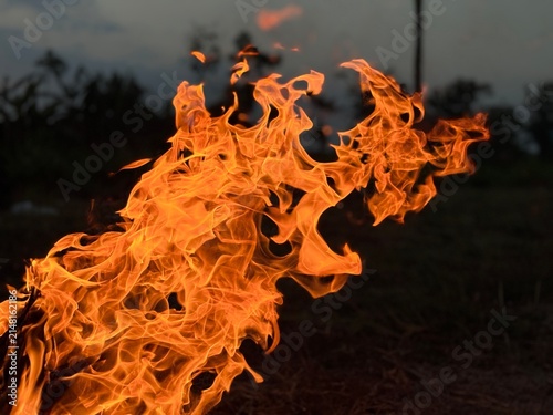 Canvastavla Dynamic hot orange fire flames macro detail