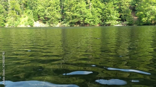 Serene view of clear rippling water surface on a tranquil forest lake, reflecting lush green trees along the picturesque shoreline on a sunny summer day in nature.