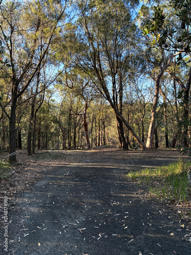 Empty walking trail view on a sunny day with few trees.
