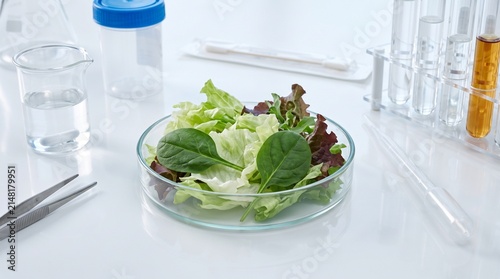 Fresh Mixed Salad Leaves in Sterile Laboratory Setting for Cyclospora Contamination Screening