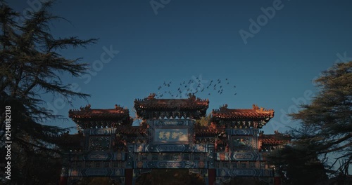 Beijing, China. Doves birds flying above Gate to ancient Lama Temple.