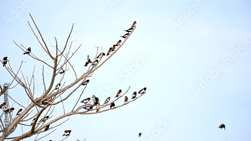 Unique moments for bird 