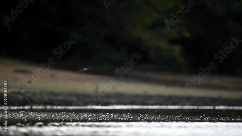 Unique moments for bird 