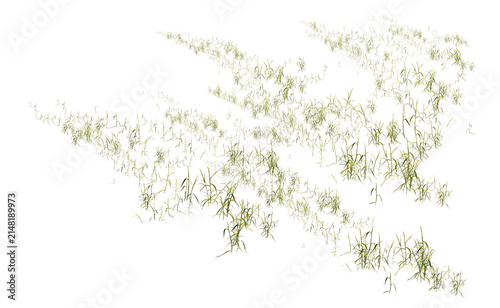 lavender isolated on white/Sharp detailed wild grass foliage isolated on a clean white background, ideal for nature, botanical, and minimalist design.