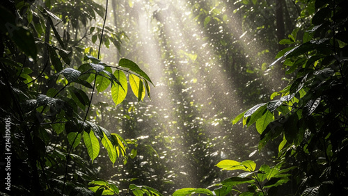 Sunlight Rays Piercing Through Dense Green Tropical Jungle Canopy Background