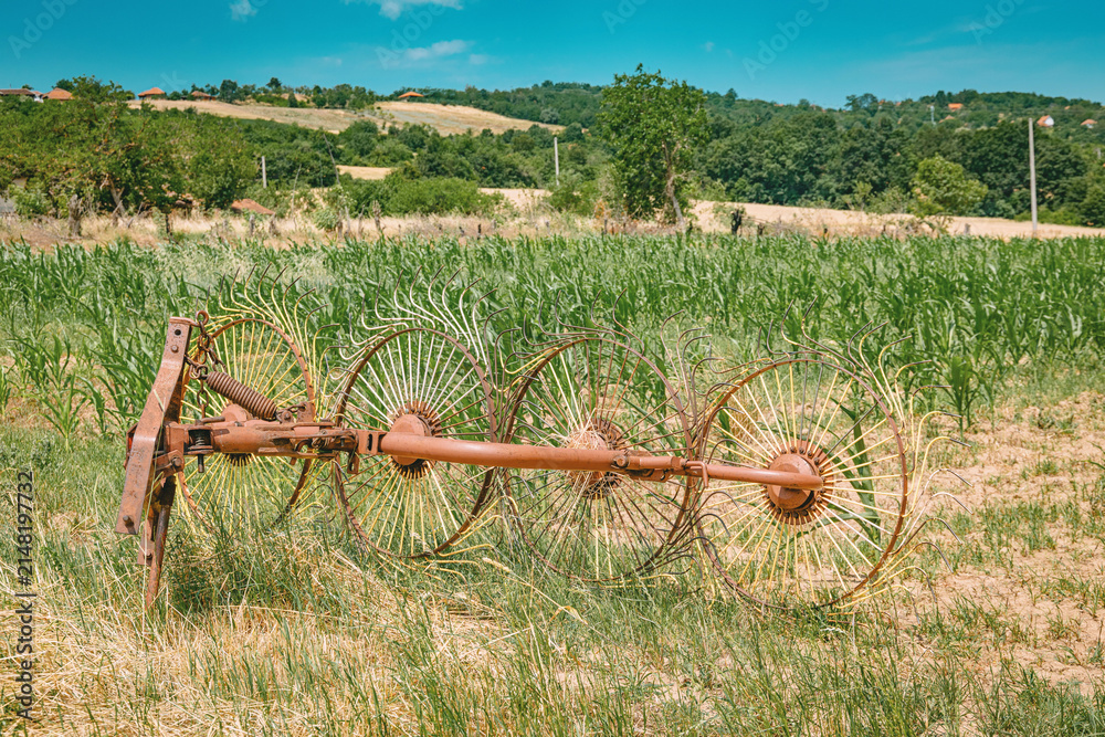 Obraz premium Sun-bleached vintage hay rake with rust-toned wheels rests beside a lush green cornfield on a bright summer day. Rural farming concept.