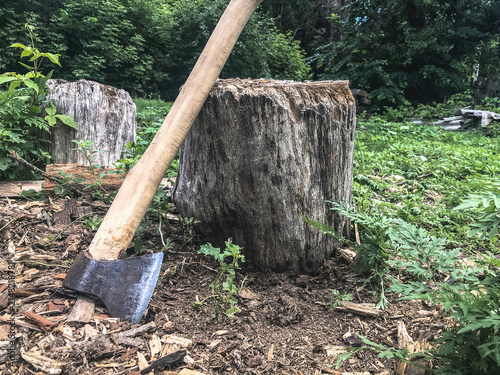 Old axe leaning against a tree stump in the forest