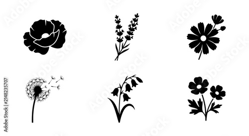 Botanical Silhouettes: Poppy, Lavender, Daisy, Dandelion, Lily of the Valley, Cosmos Icons