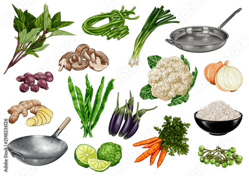 Thai and asian Cooking Utensils and Fresh Vegetables Collection, Wok, Rice and Herbs Illustration