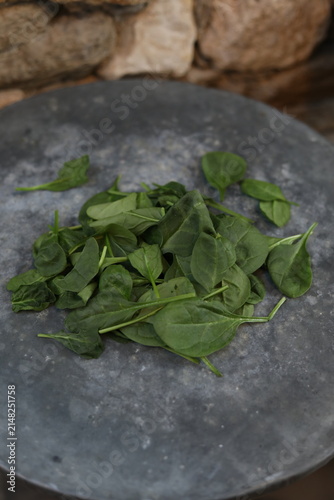 A close-up of some lamb's lettuce on a metallic table. A still-life picture.