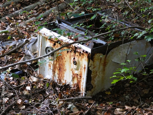 An old metal appliance, eaten by rust and broken by time, lies among dead leaves. Abandoned long ago, it seems almost swallowed by nature reclaiming its space. 