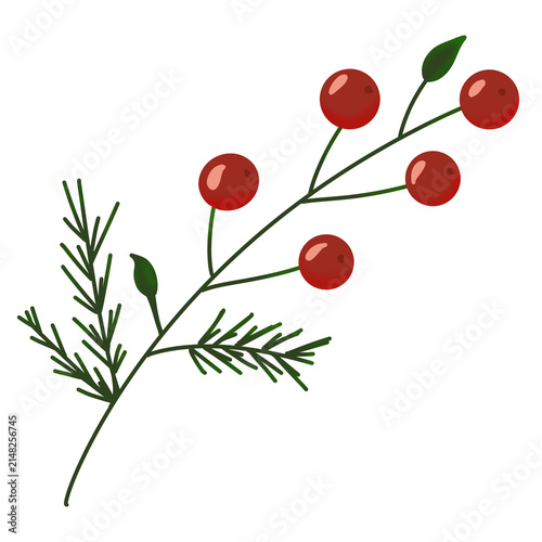 Red Berry Branch with Evergreen Foliage, Christmas Winter Botanical Illustration